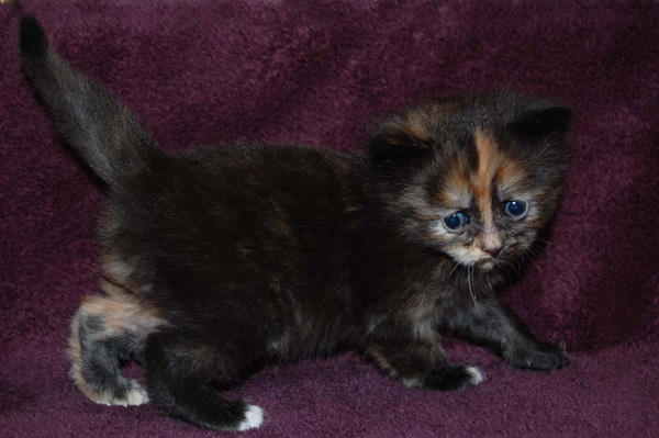 Tiffany-4 Wochen.jpg